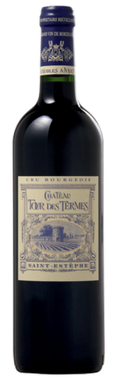 château tour des termes.JPG